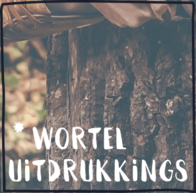 Uitdrukkings met wortels